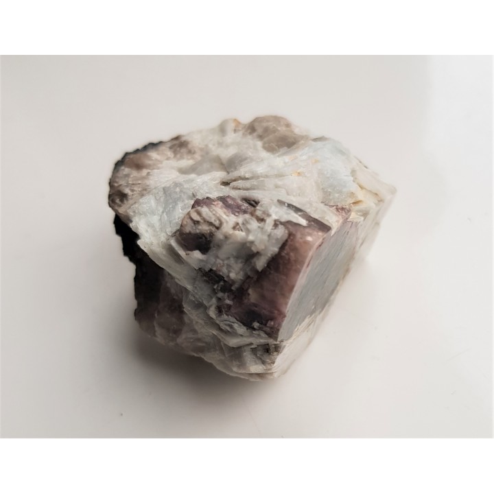 Elbait z Piławy Grn.