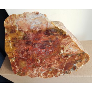 Wielobarwny jaspiso-agat runowy z Bolesławca