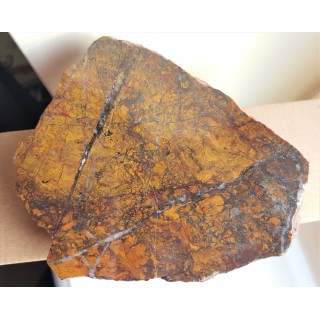 Żółty jaspis z kulmu niecki śródsudeckiej, okolice Starych Bogaczowic