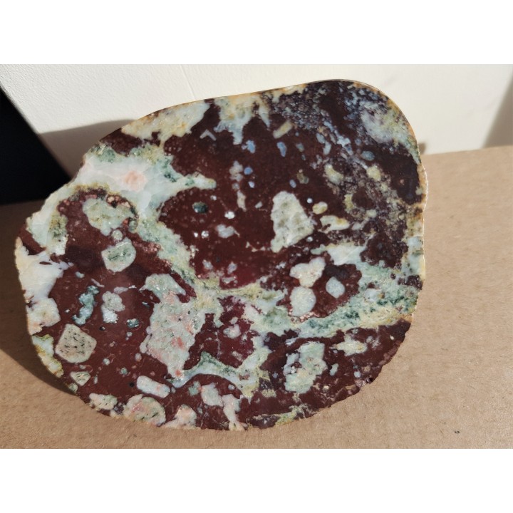 Migdałowiec obszaru obecnego dna Bałtyku, eratyk, Kołobrzeg