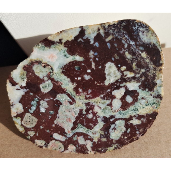 Migdałowiec obszaru obecnego dna Bałtyku, eratyk, Kołobrzeg