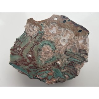 Jaspisoid ruinowy z Lubiechowej w Sudetach