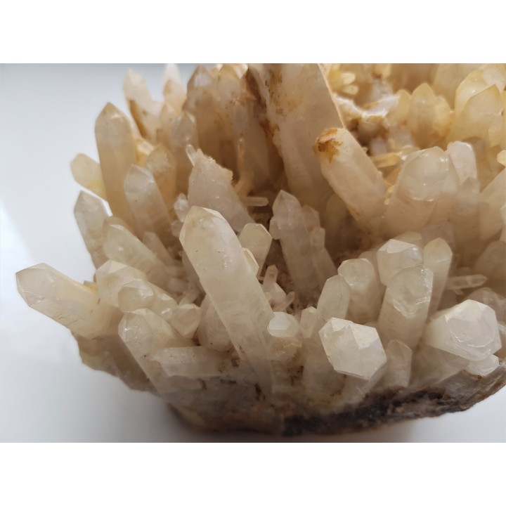 Duża szczotka kryształów górskich ze Strzegomia (Rogoźnica)