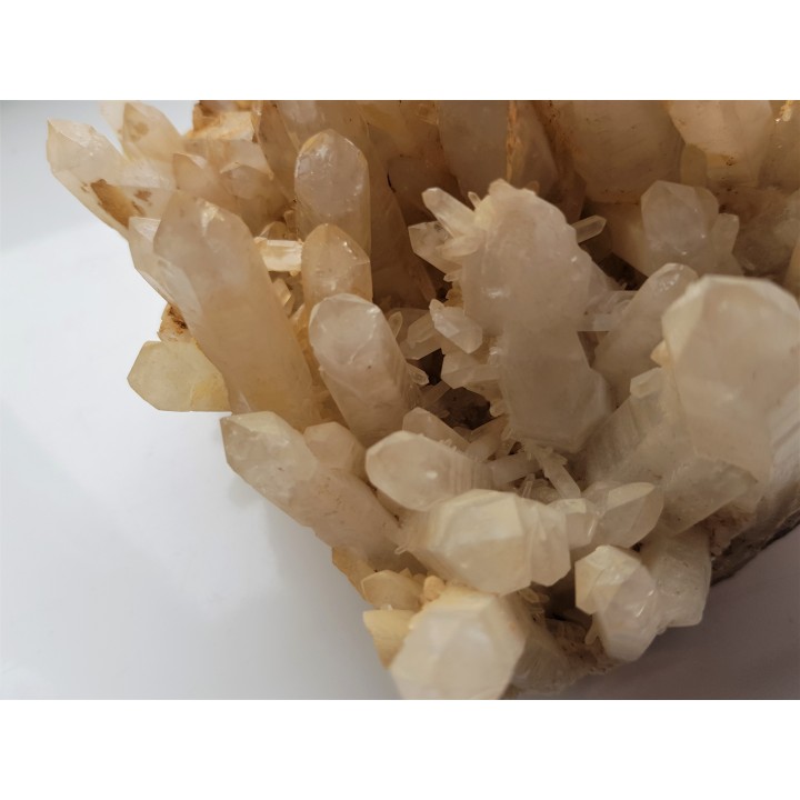 Duża szczotka kryształów górskich ze Strzegomia (Rogoźnica)