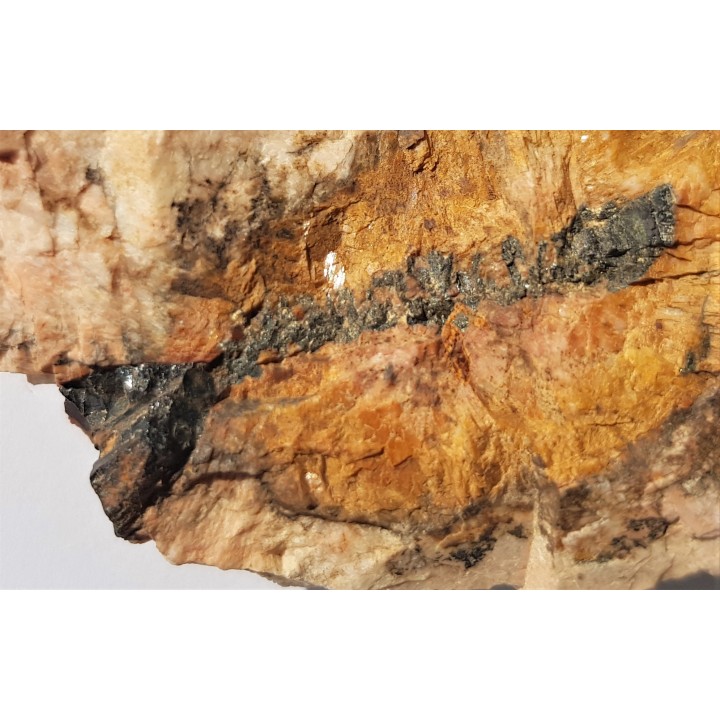 Allanit (epidot z pierwiastkami ziem rzadkich - REE) z magnetytem ze Szklarskiej Poręby