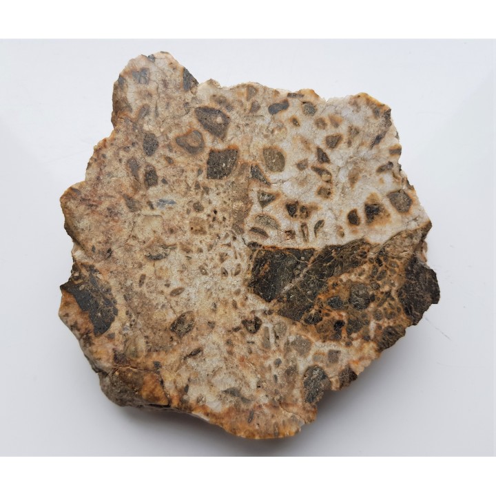 Brekcja polerowana z Gębczyc k. Strzelina