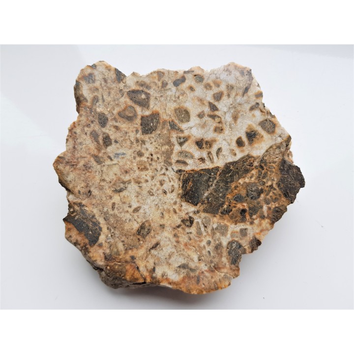 Brekcja polerowana z Gębczyc k. Strzelina