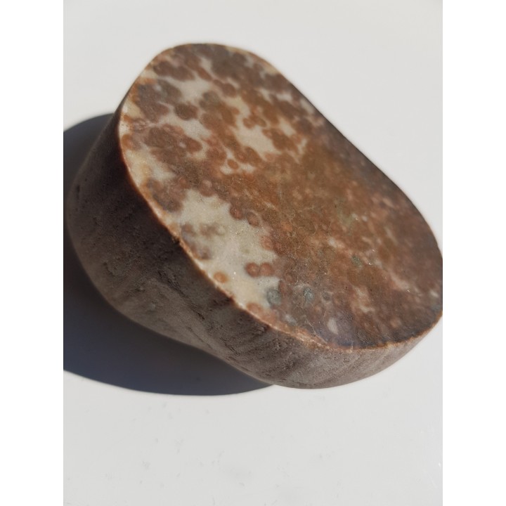 Polerowany okaz piaskowca skolitusowego z Dźwirzyna