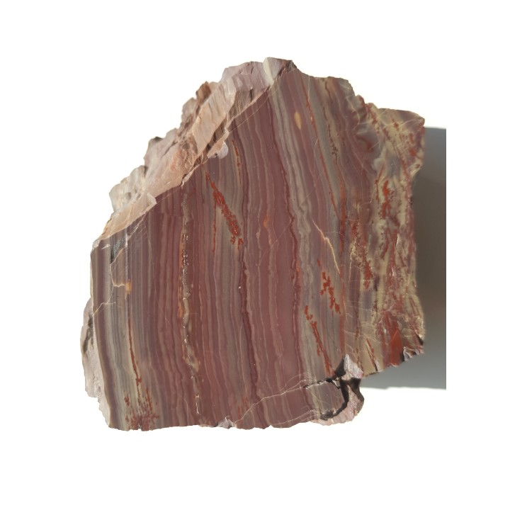 Jaspis z aluwiów Nysy Kłodzkiej