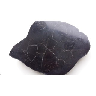 Wyjątkowa, czarna septaria z wapieni dewońskich niecki śródsudeckiej