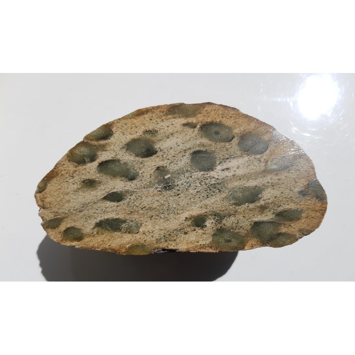 Skała z wyrazistymi nodulami, eratyk, lubuskie