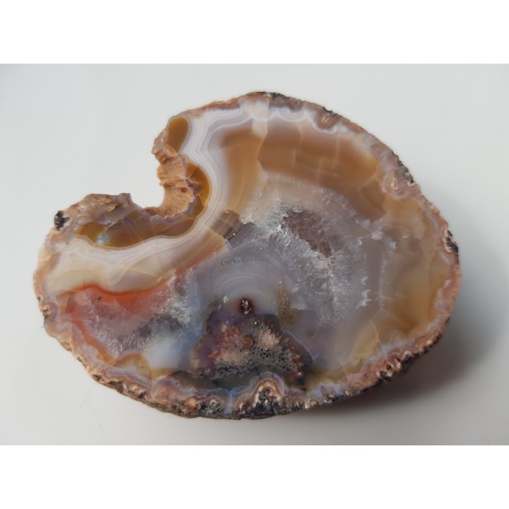 Agat "rzeczny" z Bobru w Sudetach (river agate)