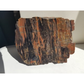 Drewno skrzemieniałe z rowu Świerzawy, wyjątkowa lokalizacja