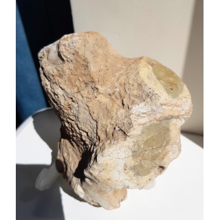 Duży okaz krzemiennej gąbki, eratyk ze Świebodzina, lubuskie