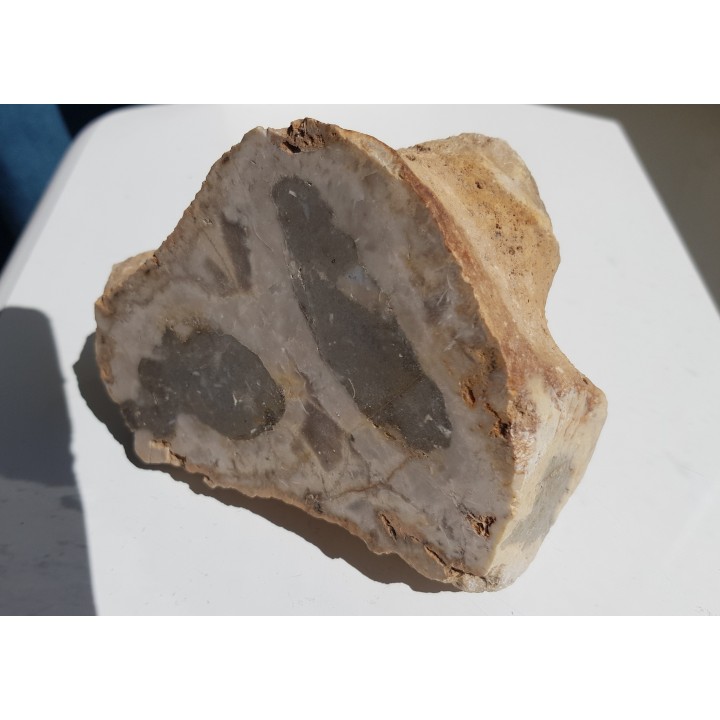 Duży okaz krzemiennej gąbki, eratyk ze Świebodzina, lubuskie