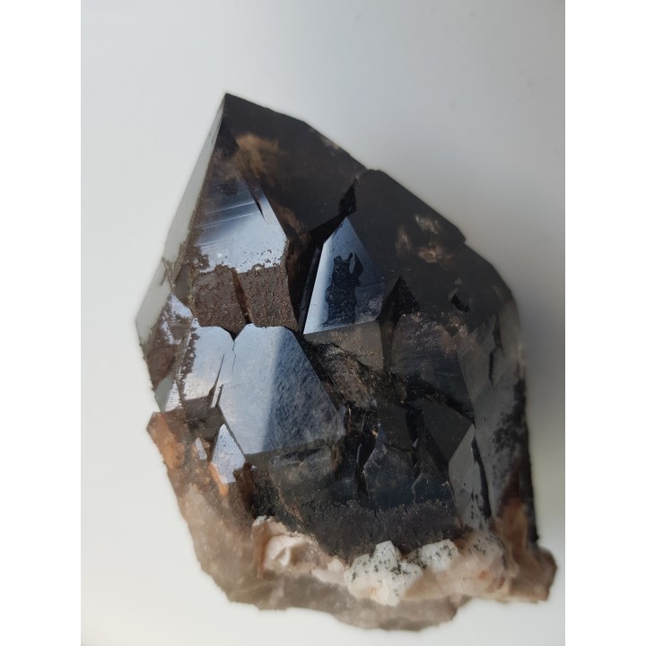 Kwarc dymny/morion ze Strzegomia