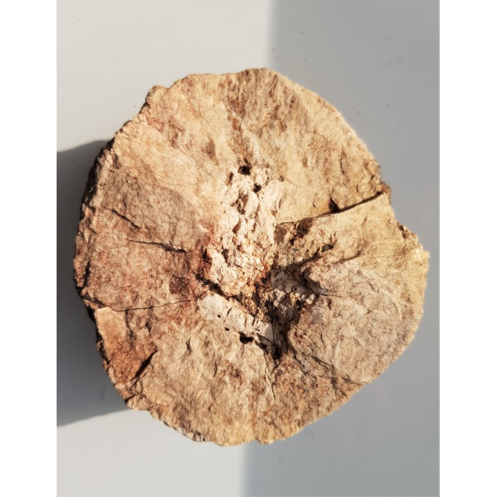 Granit kulisty (orbikularny) z Czarnego k. Jeleniej Góry