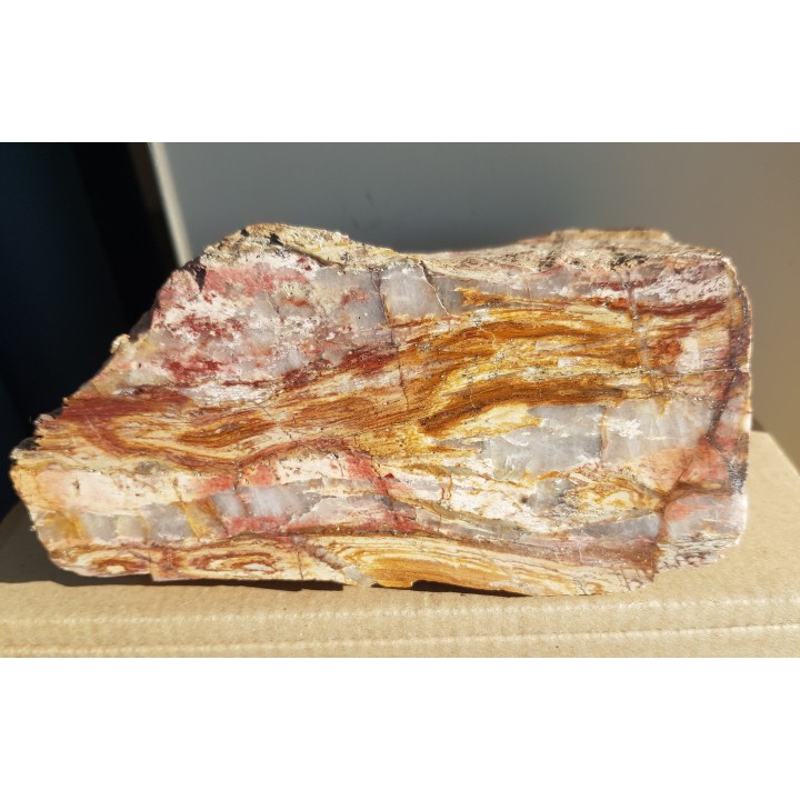 Polerowany okaz ozdobnego łupku kwarcowo-serycytowego z okolic Żarowa