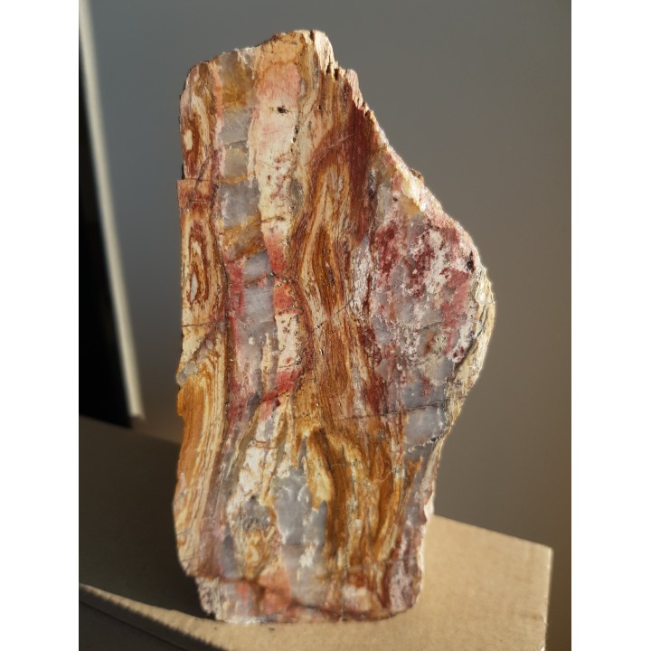 Polerowany okaz ozdobnego łupku kwarcowo-serycytowego z okolic Żarowa