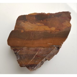 Jaspis pejzażowy z Pilc