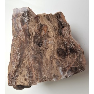 Jaspis z Czerwieńczyc