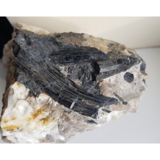 Grupa pięknie błyszczących kryształów turmalinu (szerl) z Piławy Grn.