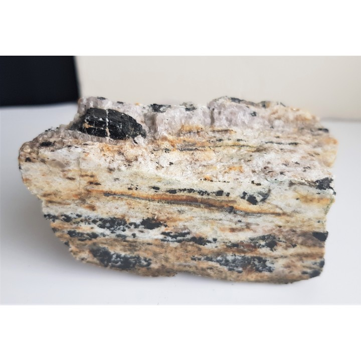 Polerowany przekrój przez jasny gnejs z turmalinami z Różanej k. Bielawy w Górach Sowich