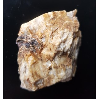 Sarkopsyd z Michałkowej w Górach Sowich