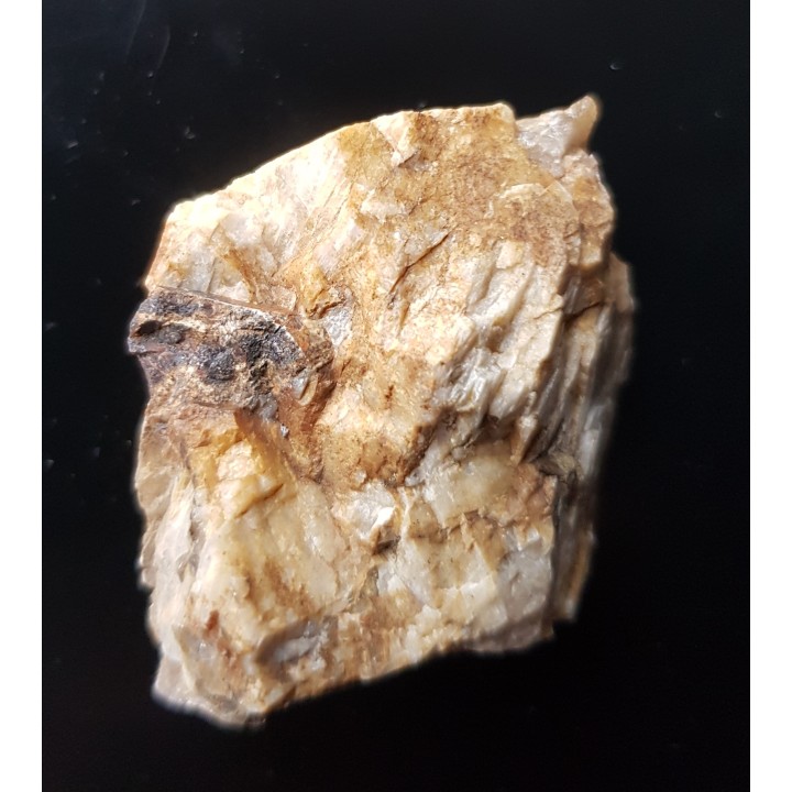 Sarkopsyd z Michałkowej w Górach Sowich