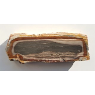 Limnokwarcyt pejzażowy ze Słowacji