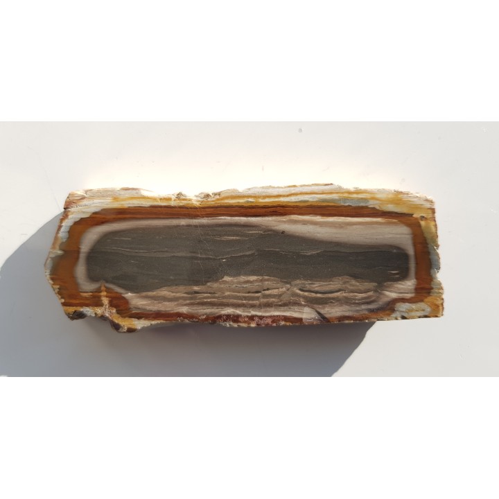 Limnokwarcyt pejzażowy ze Słowacji