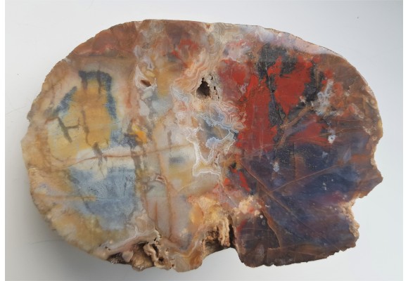 Agat "rzeczny" z Bobru w Sudetach (river agate)