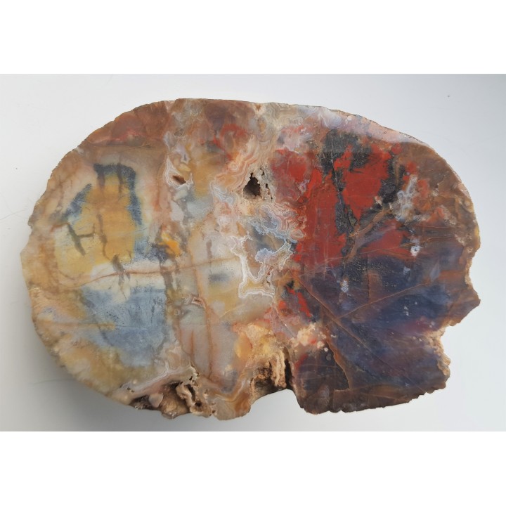 Agat "rzeczny" z Bobru w Sudetach (river agate)