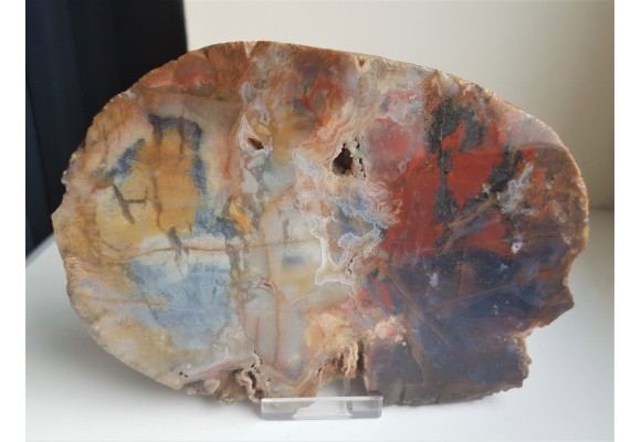 Agat "rzeczny" z Bobru w Sudetach (river agate)