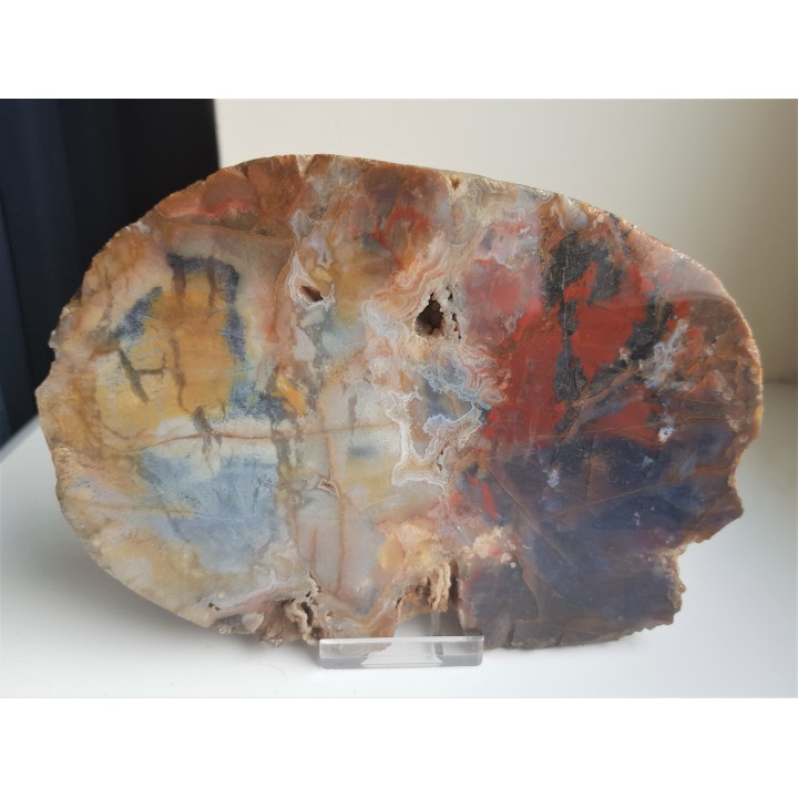 Agat "rzeczny" z Bobru w Sudetach (river agate)