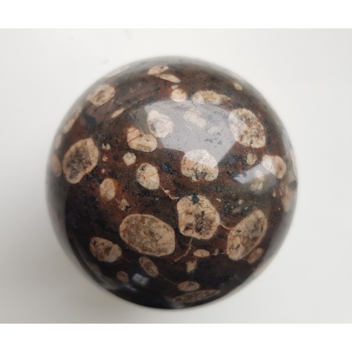 Piękna kula z porfirowatego sjenitu (eratyk, lubuskie)
