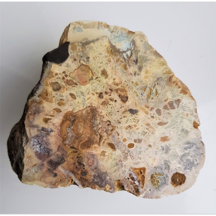 Barwny wapień z dużymi klastami (okruchami) skał osadowych