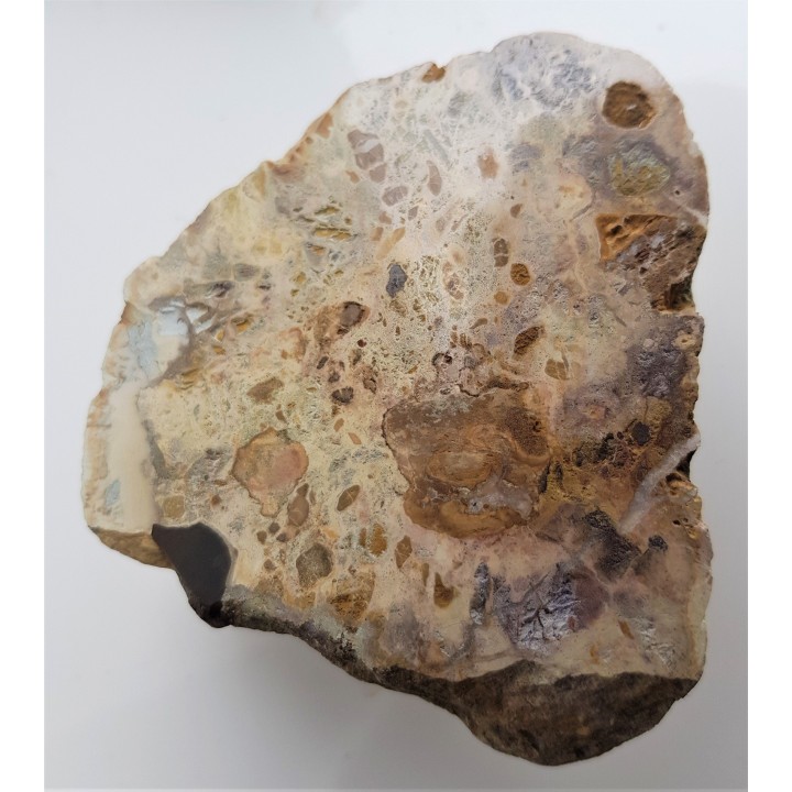 Barwny wapień z dużymi klastami (okruchami) skał osadowych