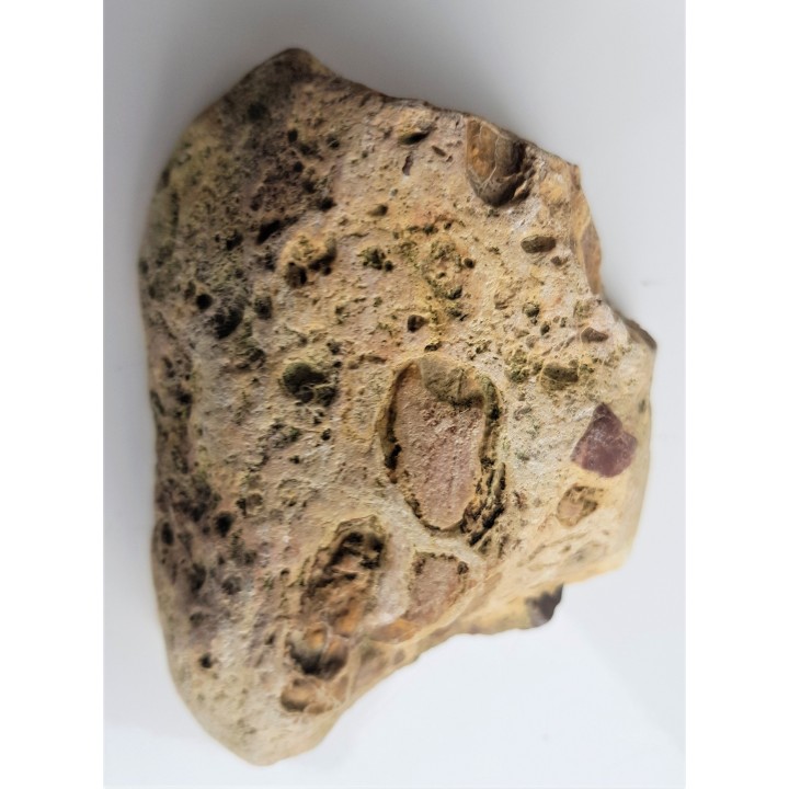 Barwny wapień z dużymi klastami (okruchami) skał osadowych