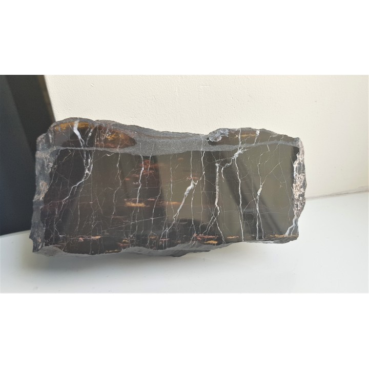 Piękne drewno skrzemieniałe z Okrzeszyna z karbońskiej arkozy