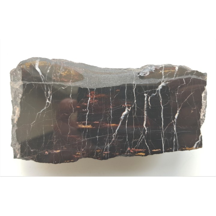 Piękne drewno skrzemieniałe z Okrzeszyna z karbońskiej arkozy