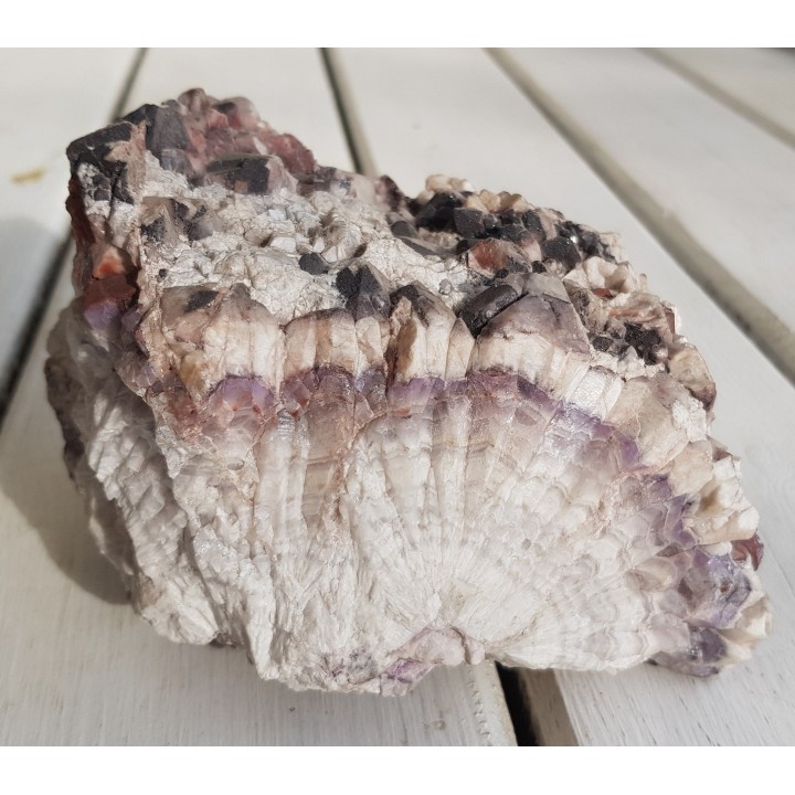 Piękna szczotka ametystowa z Kletna