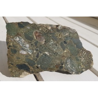 Polerowany okaz zlepieńca kulmu z depresji Świebodzic