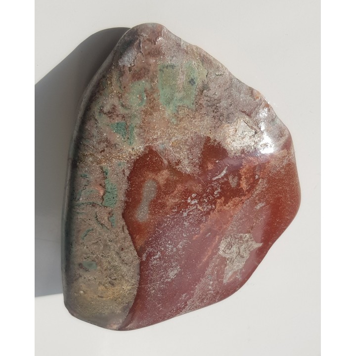 Jaspisoid pejzażowy z Lubiechowej w Sudetach