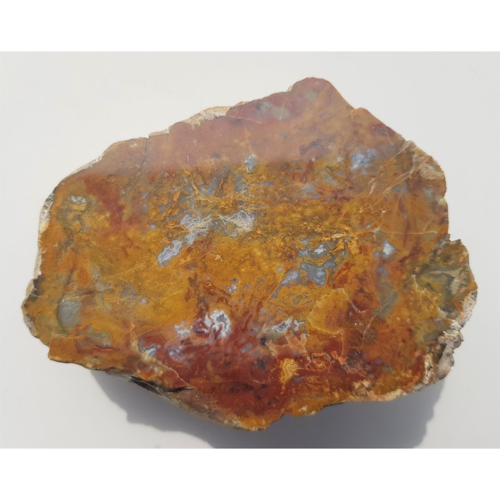 Jaspiso-agat z aluwiów Nysy Kłodzkiej