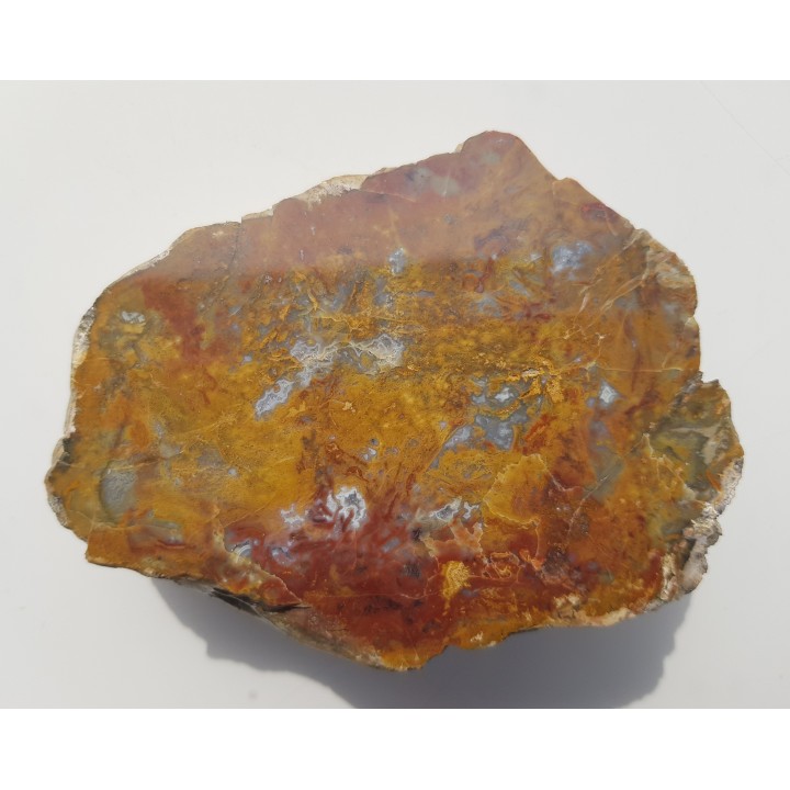 Jaspiso-agat z aluwiów Nysy Kłodzkiej