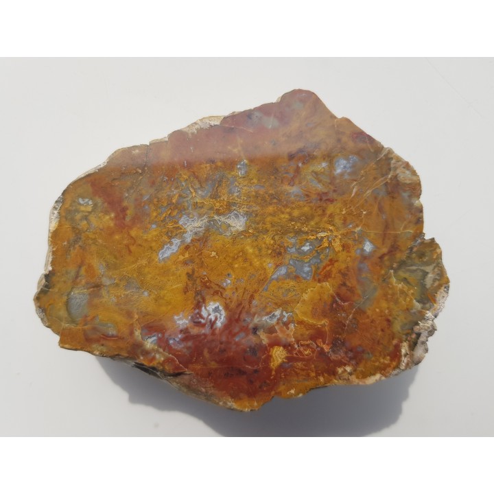 Jaspiso-agat z aluwiów Nysy Kłodzkiej