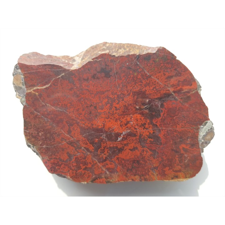 Orbikularny jaspis z okolic Kamiennej Góry