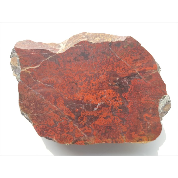 Orbikularny jaspis z okolic Kamiennej Góry