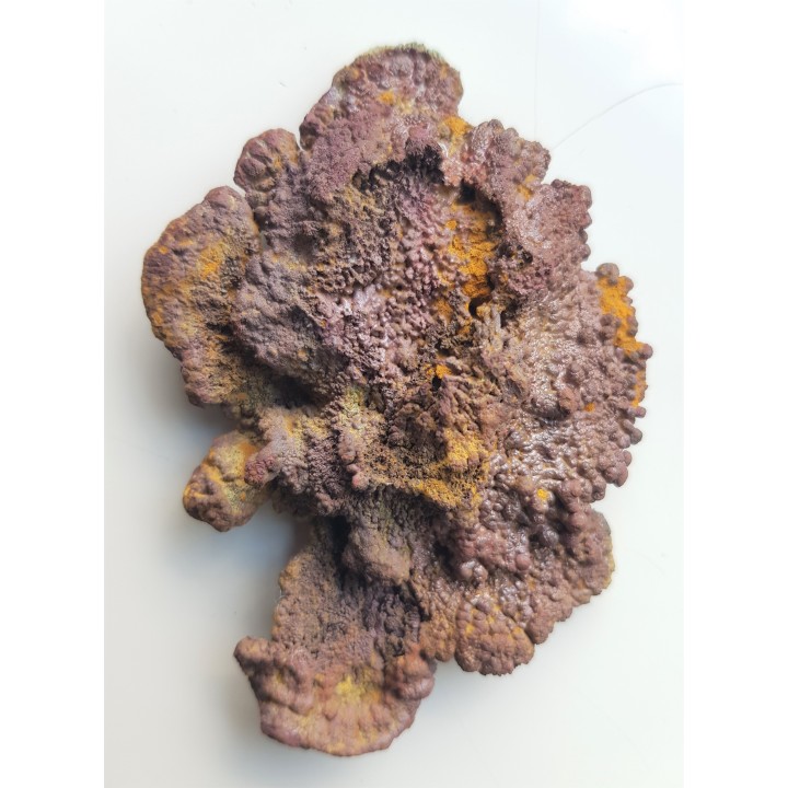 Duży okaz miedzi rodzimej z kopalni złota w Sudetach Wschodnich